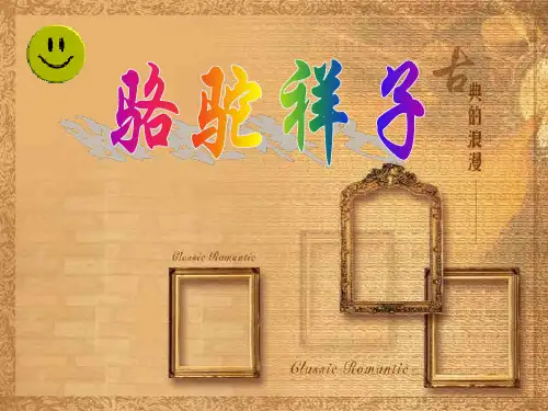 骆驼祥子每章概括