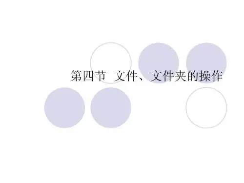 windows xp文件管理