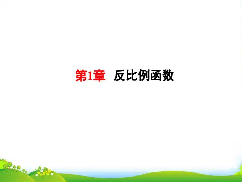 湘教版九年级数学上册《反比例函数》课件(共14张PPT)