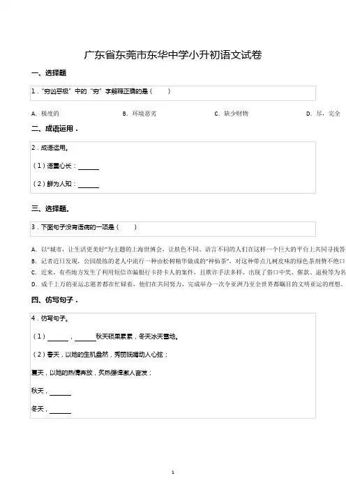 广东省东莞市东华中学小升初语文试卷