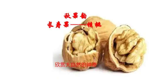 《生活中的比》教学课件