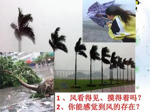 2019-2020版高考地理(课标版)一轮复习课件：第三讲 常见的天气系统 (31)