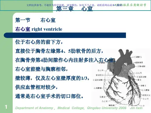 心脏的临床应用解剖心室课件