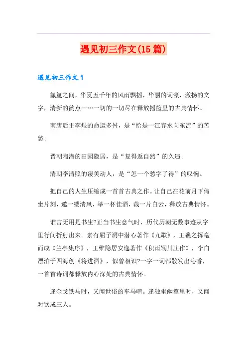 遇见初三作文(15篇)