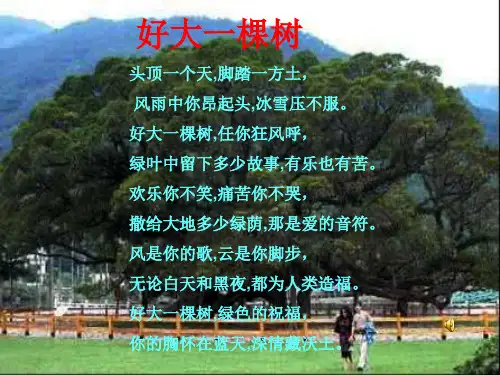 《那树》王鼎钧