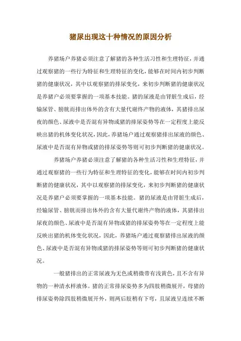 猪尿出现这十种情况的原因分析