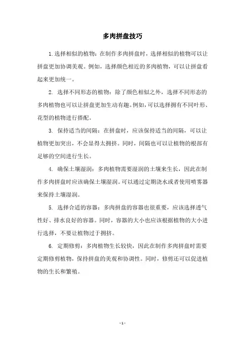 多肉拼盘技巧