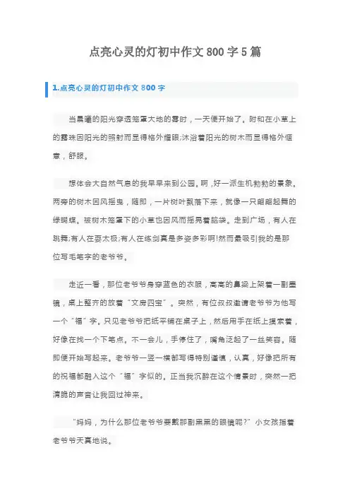 点亮心灵的灯初中作文800字5篇