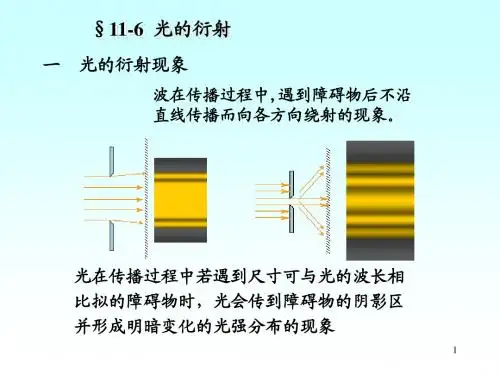 光的衍射与偏振