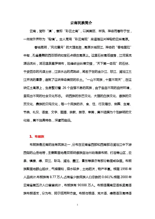 云南民族简介(简)