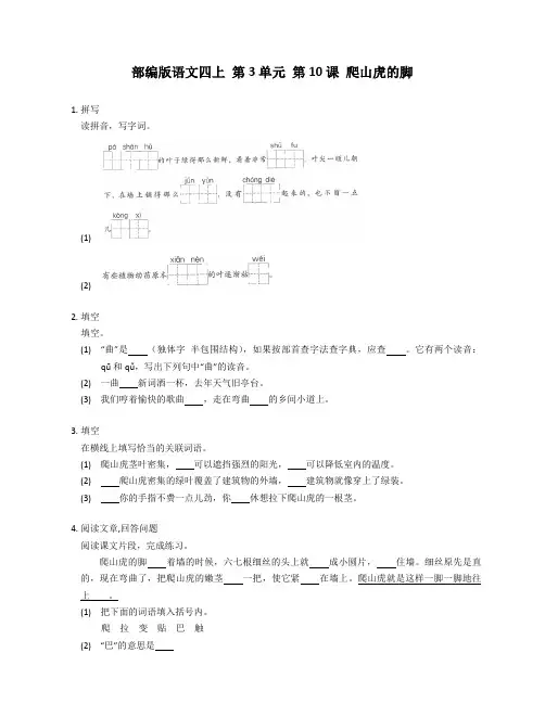 部编版语文四年级上册 10  爬山虎的脚  同步练习(含答案)