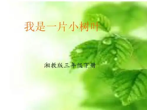 《我是一片小树叶课件》小学语文湘教版三年级下册.ppt