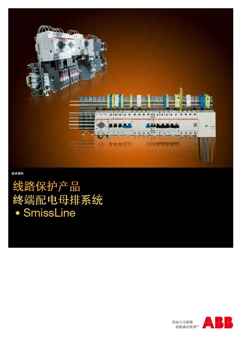 终端配电母排
