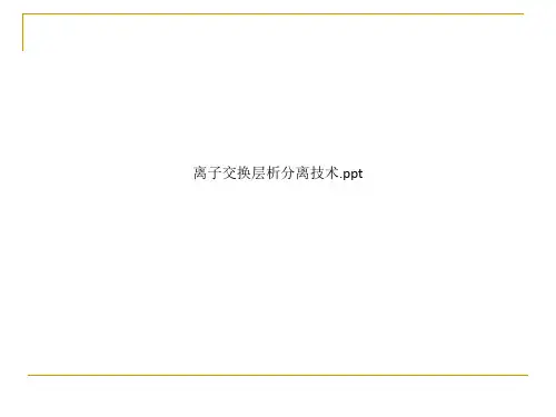离子交换层析分离技术.ppt