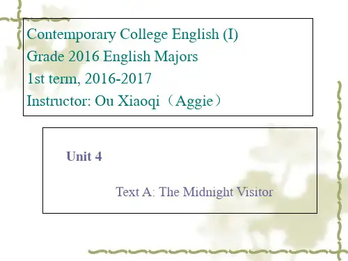 Unit4midnightvisitor精品PPT课件
