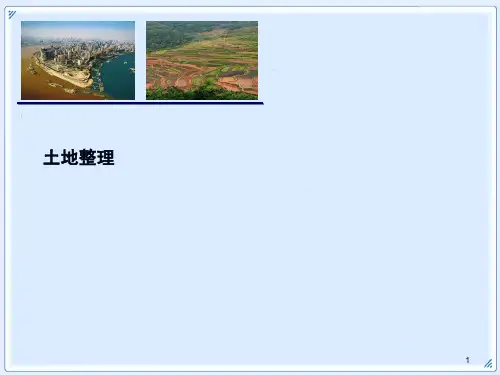 第六章专题 土地整理
