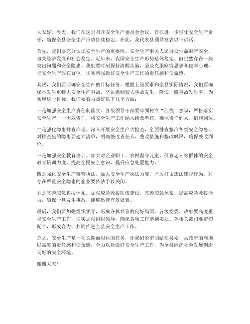 安委会县领导发言稿范文