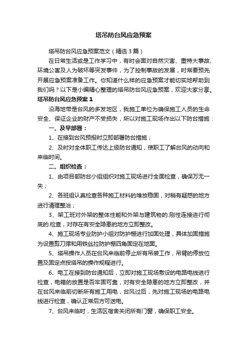 塔吊防台风应急预案范文（精选3篇）