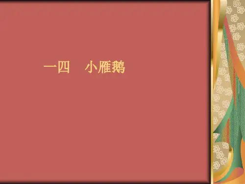 语文：第14课《小雁鹅》课件(长春版七年级下)(2019年9月)