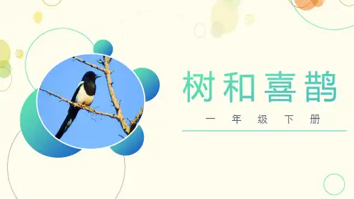 5树和喜鹊 课件(共38张PPT)