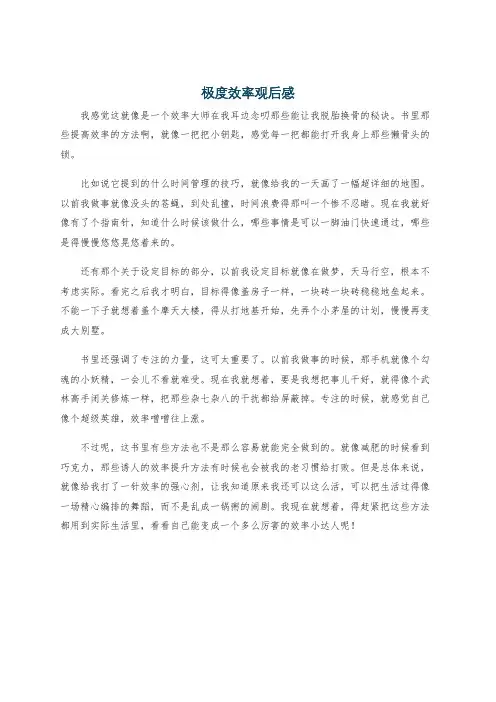 极度效率观后感