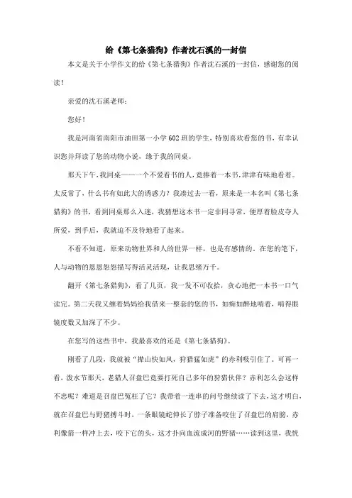 给《第七条猎狗》作者沈石溪的一封信_小学作文