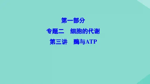 新课标2020高考生物总复习专题二细胞的代谢1.2.3酶与ATP课件