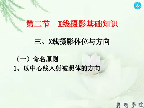影技-5