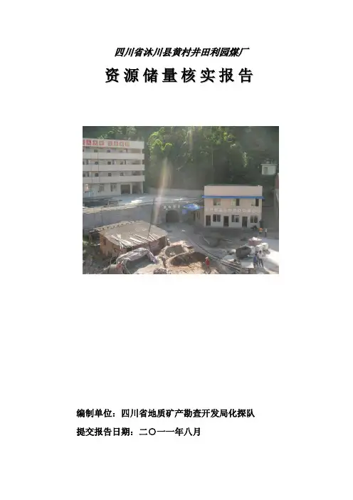 储量核实报告 2