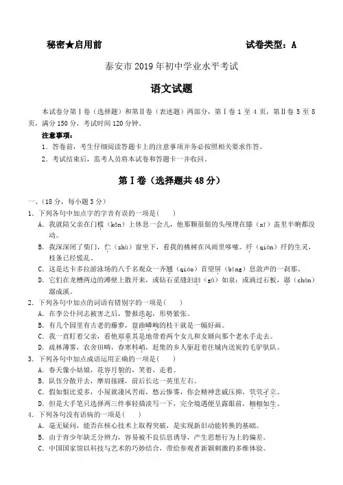 山东省泰安市2019年中考语文试题(有答案)