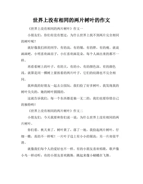 世界上没有相同的两片树叶的作文