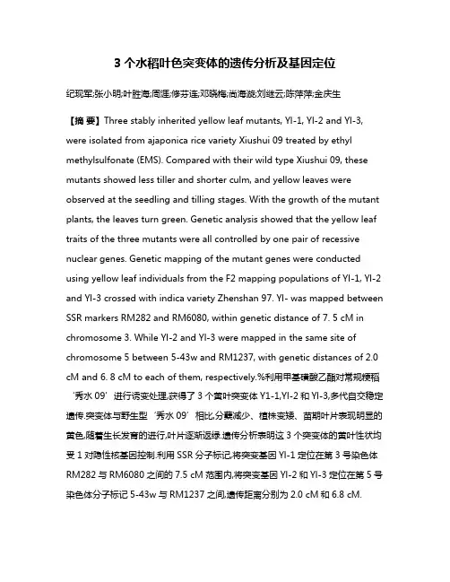 3个水稻叶色突变体的遗传分析及基因定位