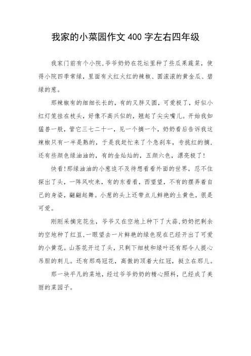 我家的小菜园作文400字左右四年级