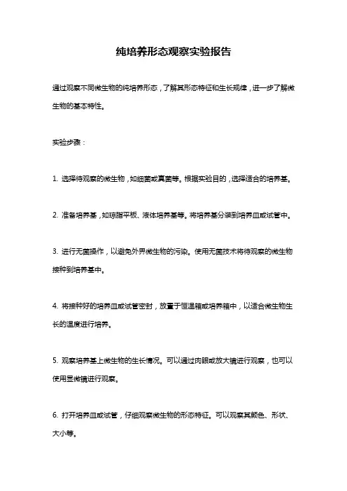 纯培养形态观察实验报告