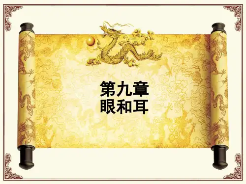 组织学与胚胎学-眼与耳