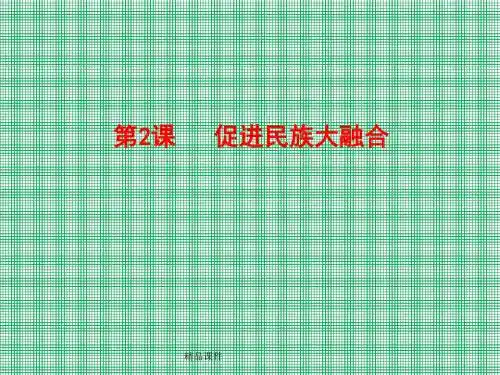 3.3《促进民族大融合》课件(人教版选修1)