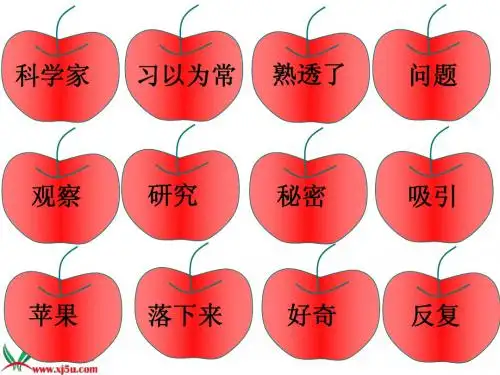 《苹果落地》课件