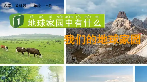2024教科版科学二年级上册第一单元我们的地球家园1地球家园中有什么教学课件