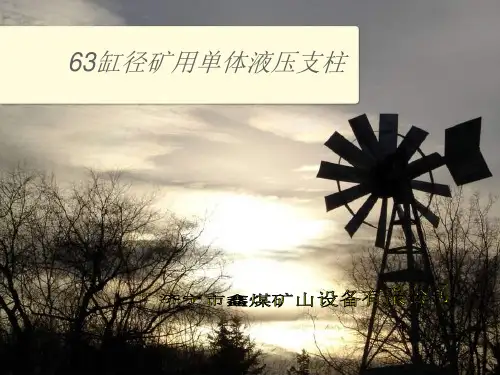 63缸径矿用单体液压支柱