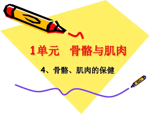 苏教版四年级科学下册4《骨骼、肌肉的保健》课件