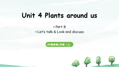 2024年秋新人教版三年级上册英语课件 Unit 4 Part B 第4课时 Let's talk