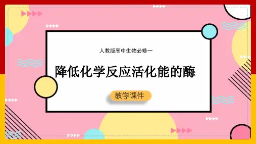 高中生物人教版必修一《降低化学反应活化能的酶》课件(完美版)