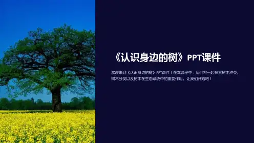 《认识身边的树》课件