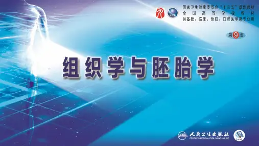第6章 肌组织