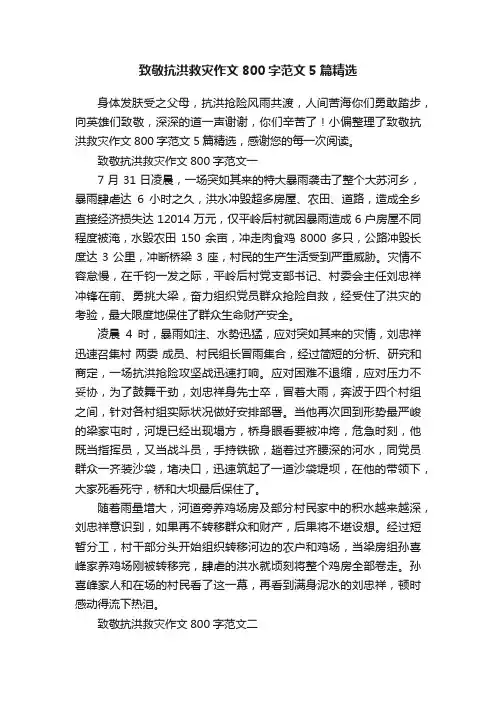 致敬抗洪救灾作文800字范文5篇精选
