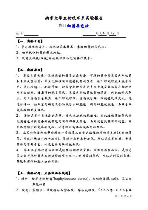 微生物学实验6 细菌染色法