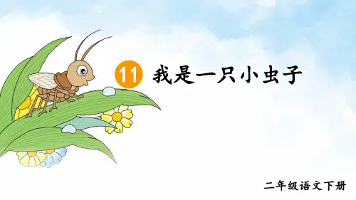 部编版小学语文二年级下册第11课《我是一只小虫子》优秀课件