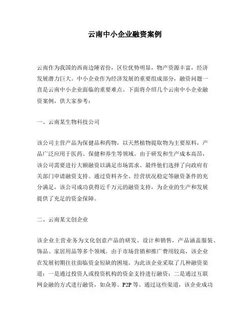 云南中小企业融资案例