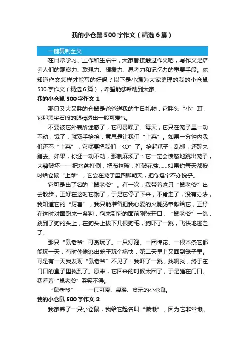 我的小仓鼠500字作文（精选6篇）