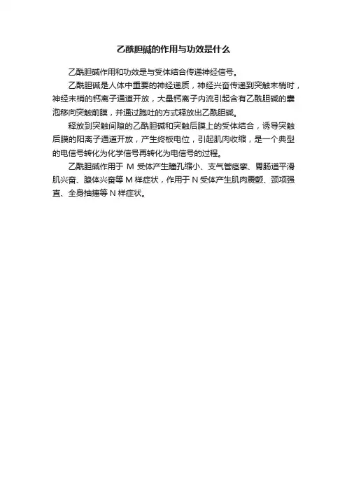 乙酰胆碱的作用与功效是什么